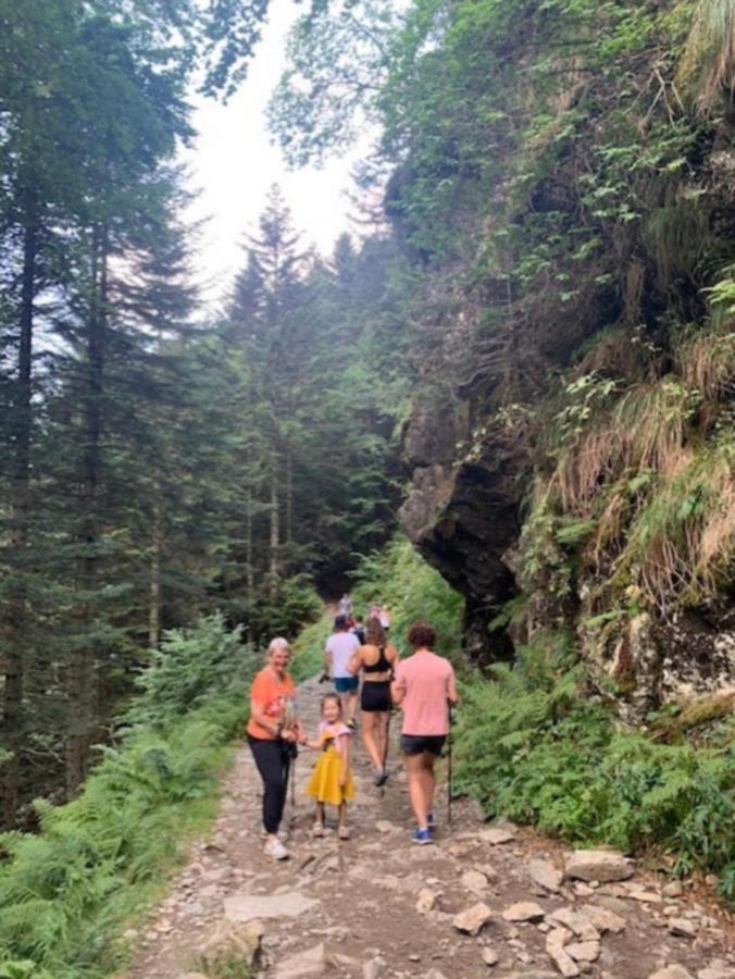 Appartement Tres Agreable Dans Belle Residence, Classe 3 Etoiles Par Le Comite Departementale Du Tourisme En Haute Garonne Bagneres-de-Luchon Bagian luar foto